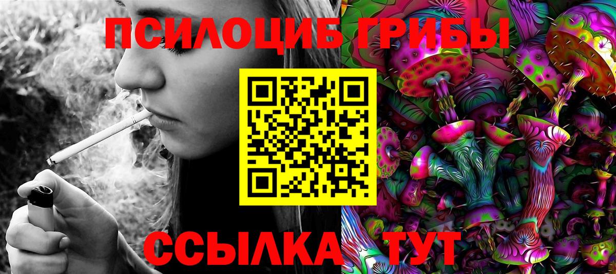 Псилоцибиновые грибы GOLDEN TEACHER Сатка